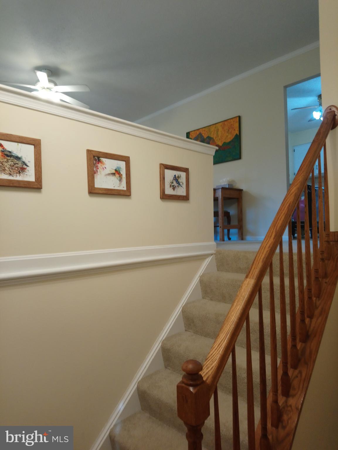4520 Stratford Road Pomfret, MD 20675 - Photo 29 of 56 Entry stairs
