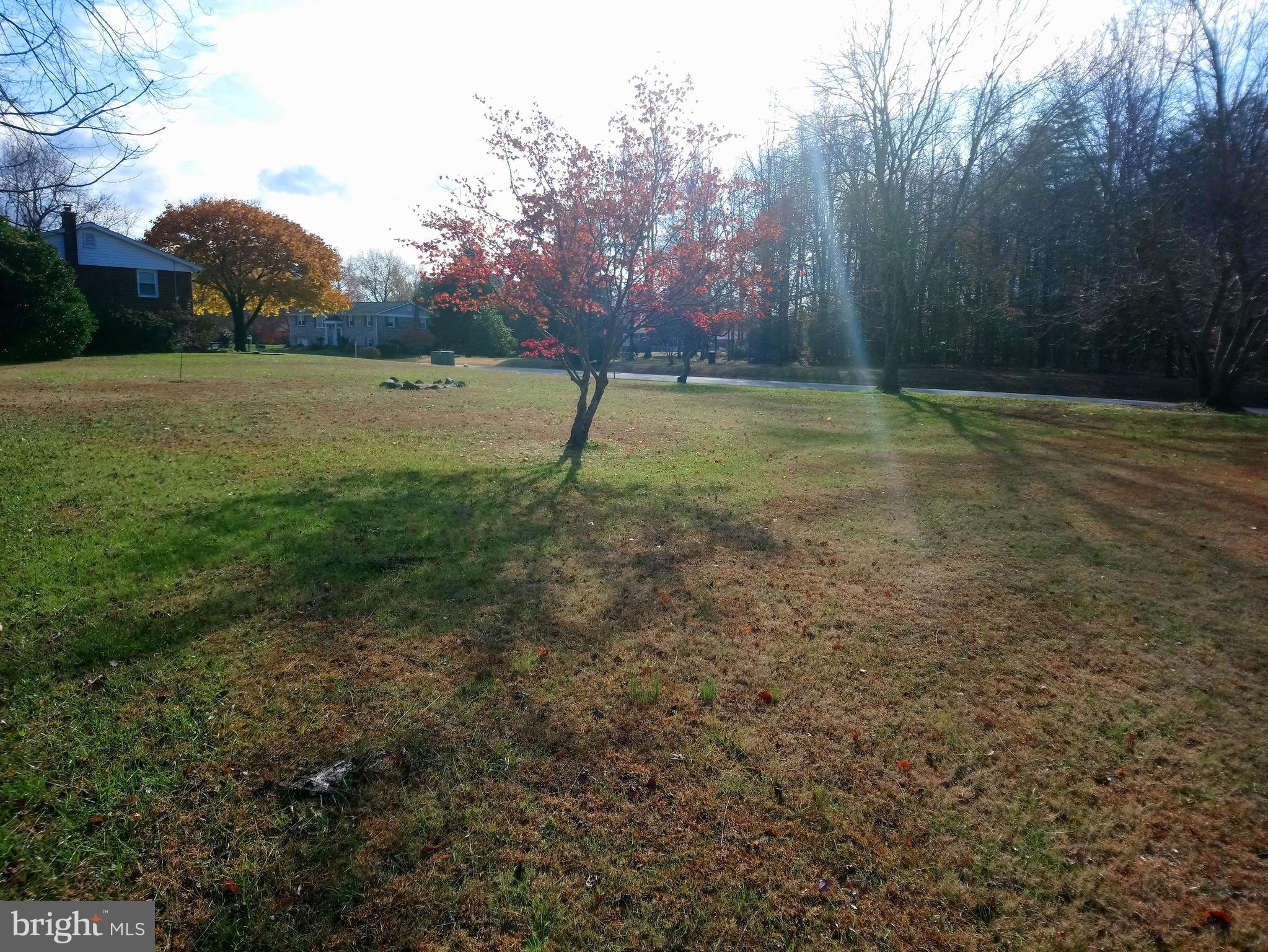 4520 Stratford Road Pomfret, MD 20675 - Photo 50 of 56 Yet even more yard!