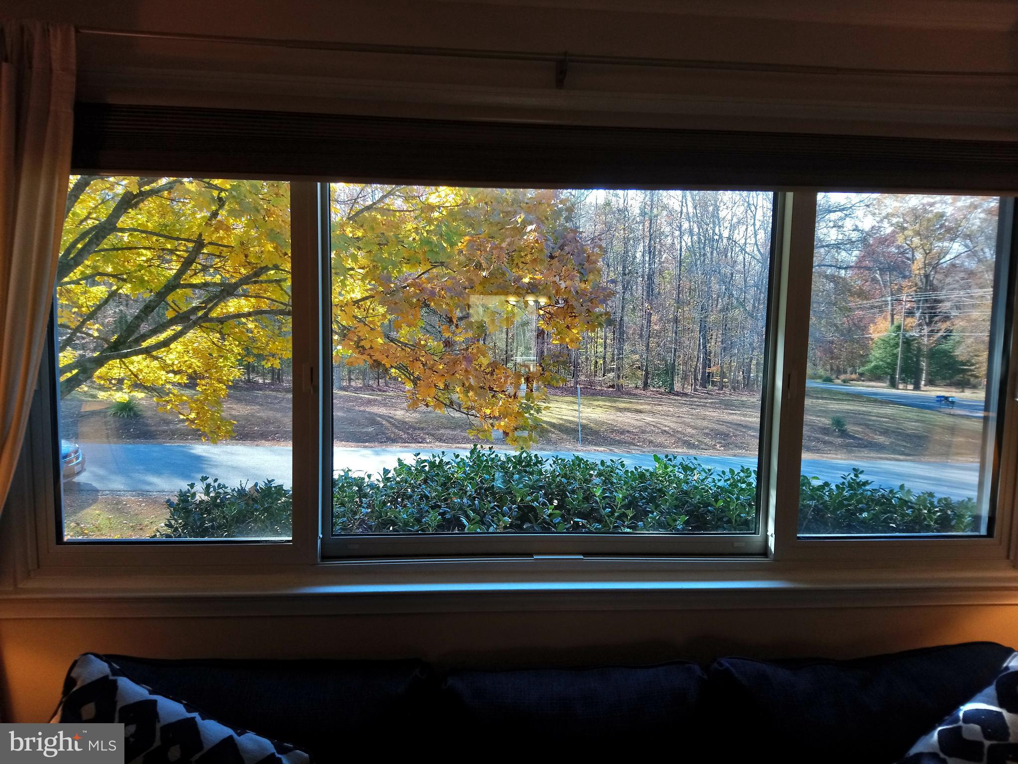 4520 Stratford Road Pomfret, MD 20675 - Photo 6 of 56 Sensational view from the living room