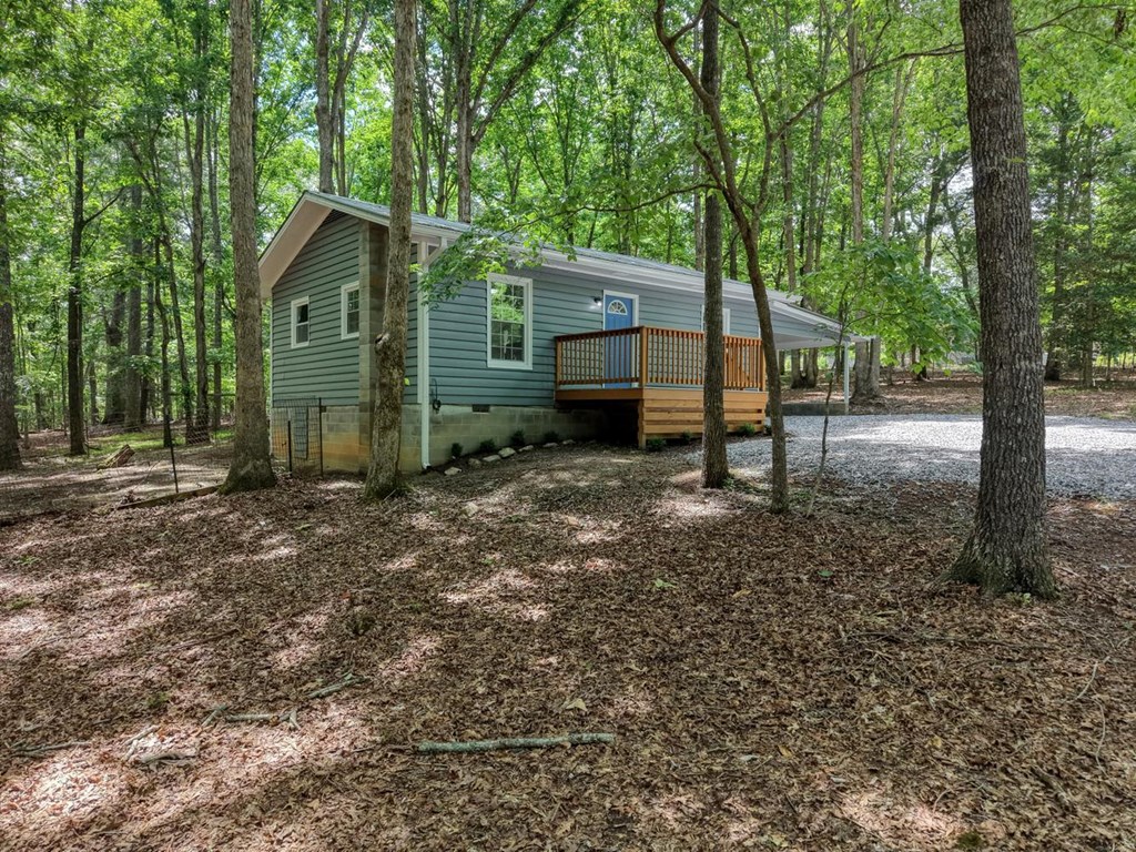 927 Paul Nicholson Road Blairsville, GA 30512 - Photo 27 of 34