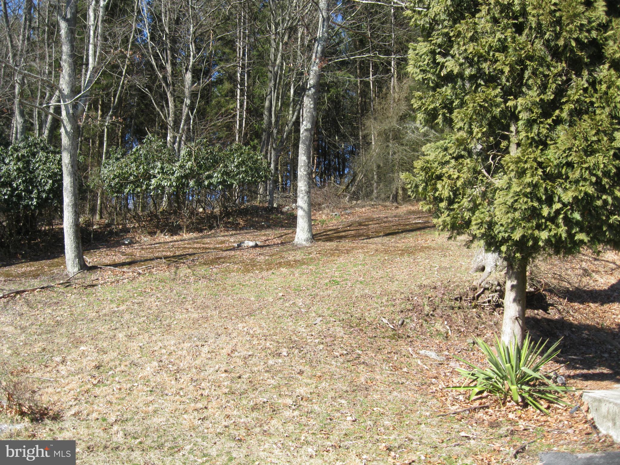 173 State Road Barnesville, PA 18214 - Photo 7 of 21 Gallery Image 7