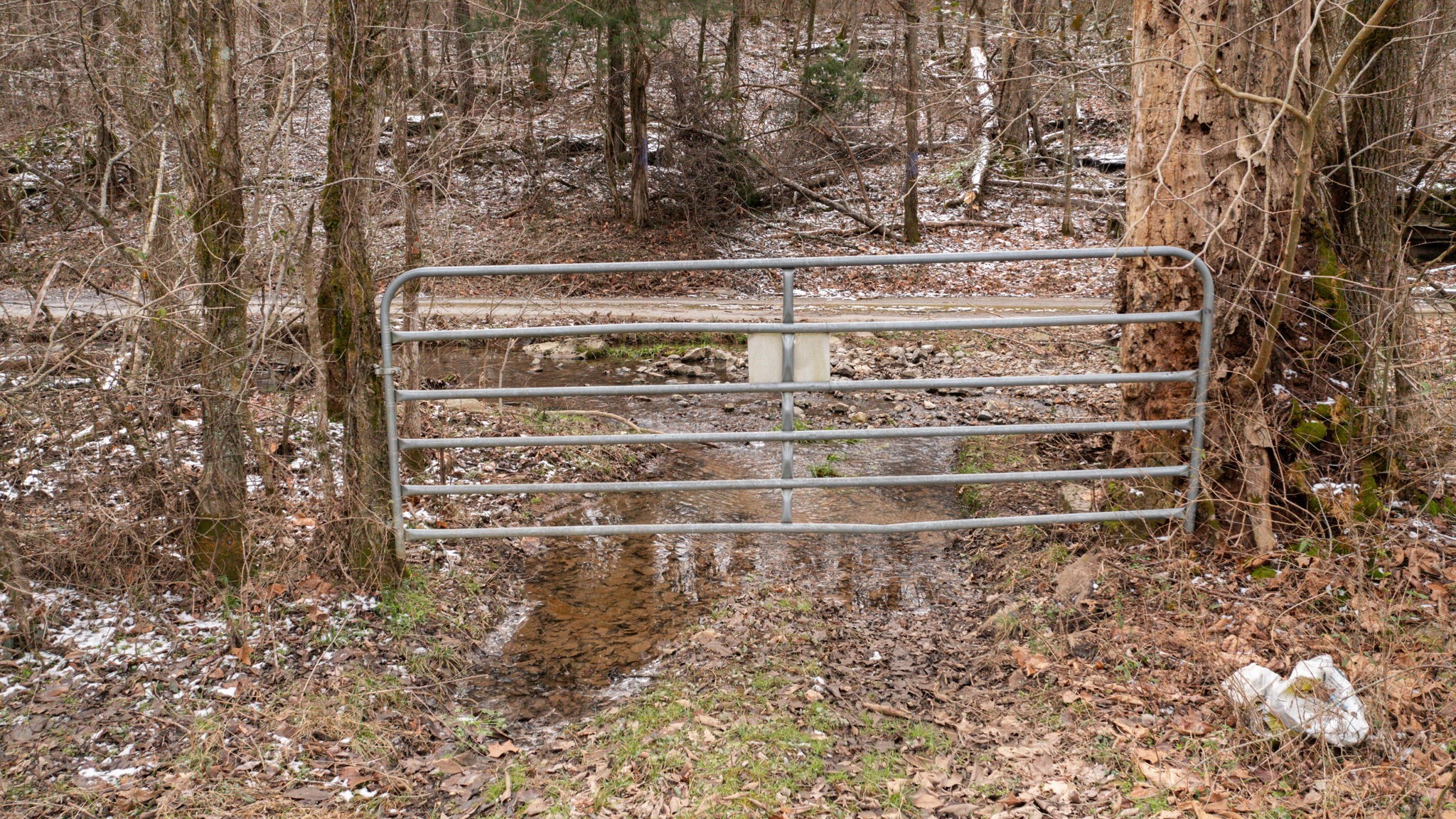 0 Northcutt Road Milton, TN 37118 - Photo 11 of 17 a view of entryway with wooden floor