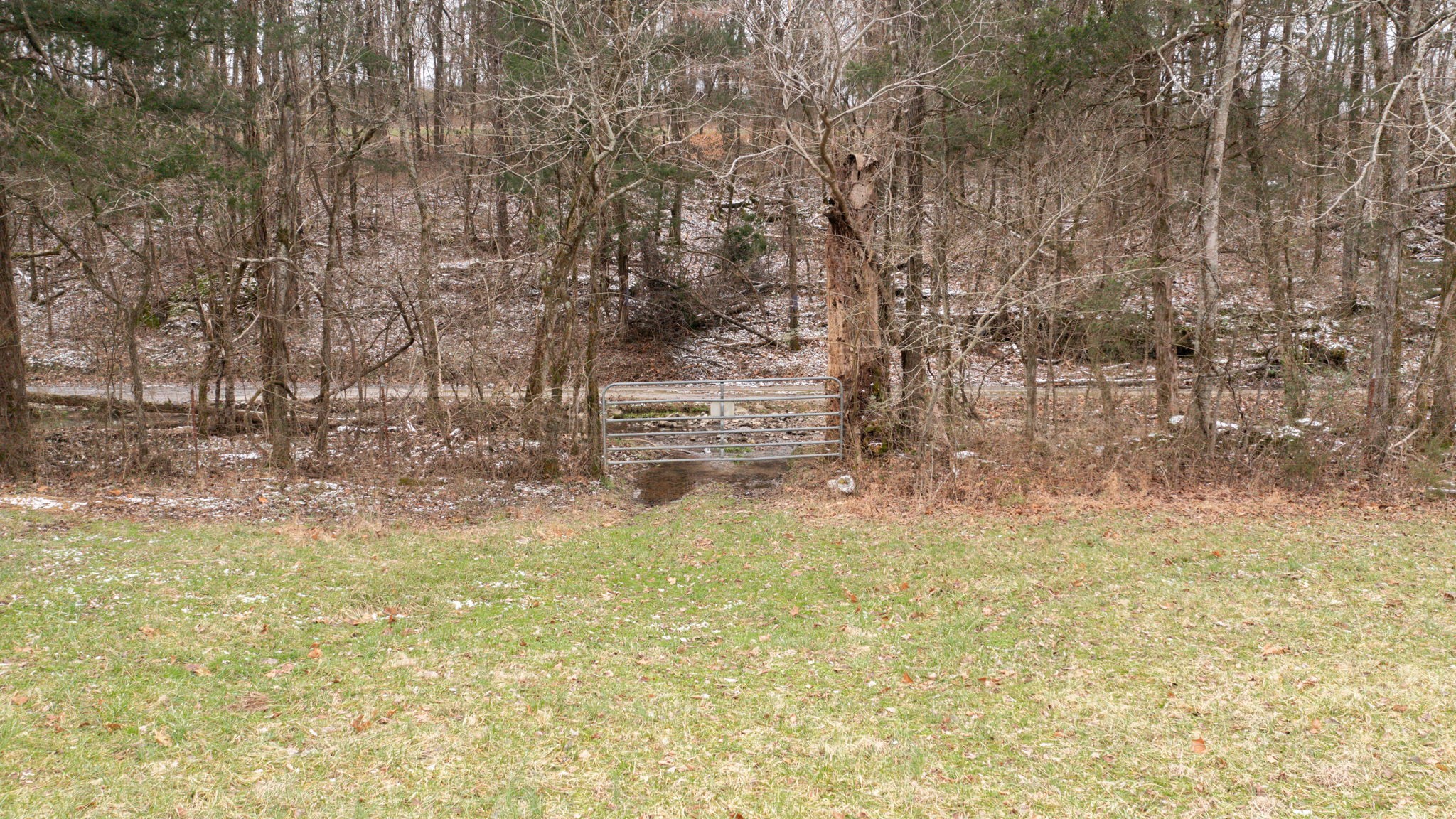 0 Northcutt Road Milton, TN 37118 - Photo 12 of 17 a view of empty room with trees