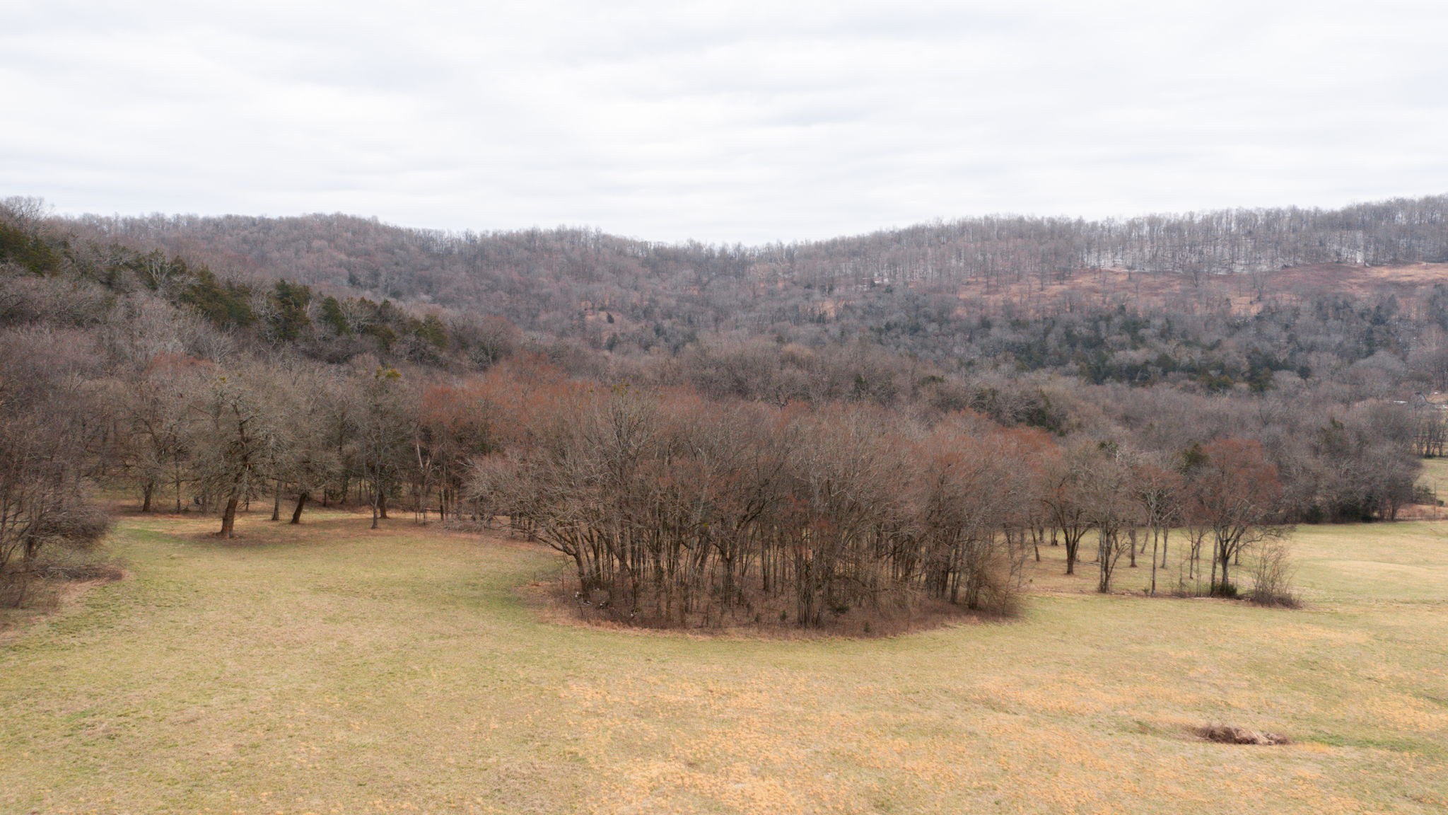 0 Northcutt Road Milton, TN 37118 - Photo 17 of 17 a view of road and covered with snow