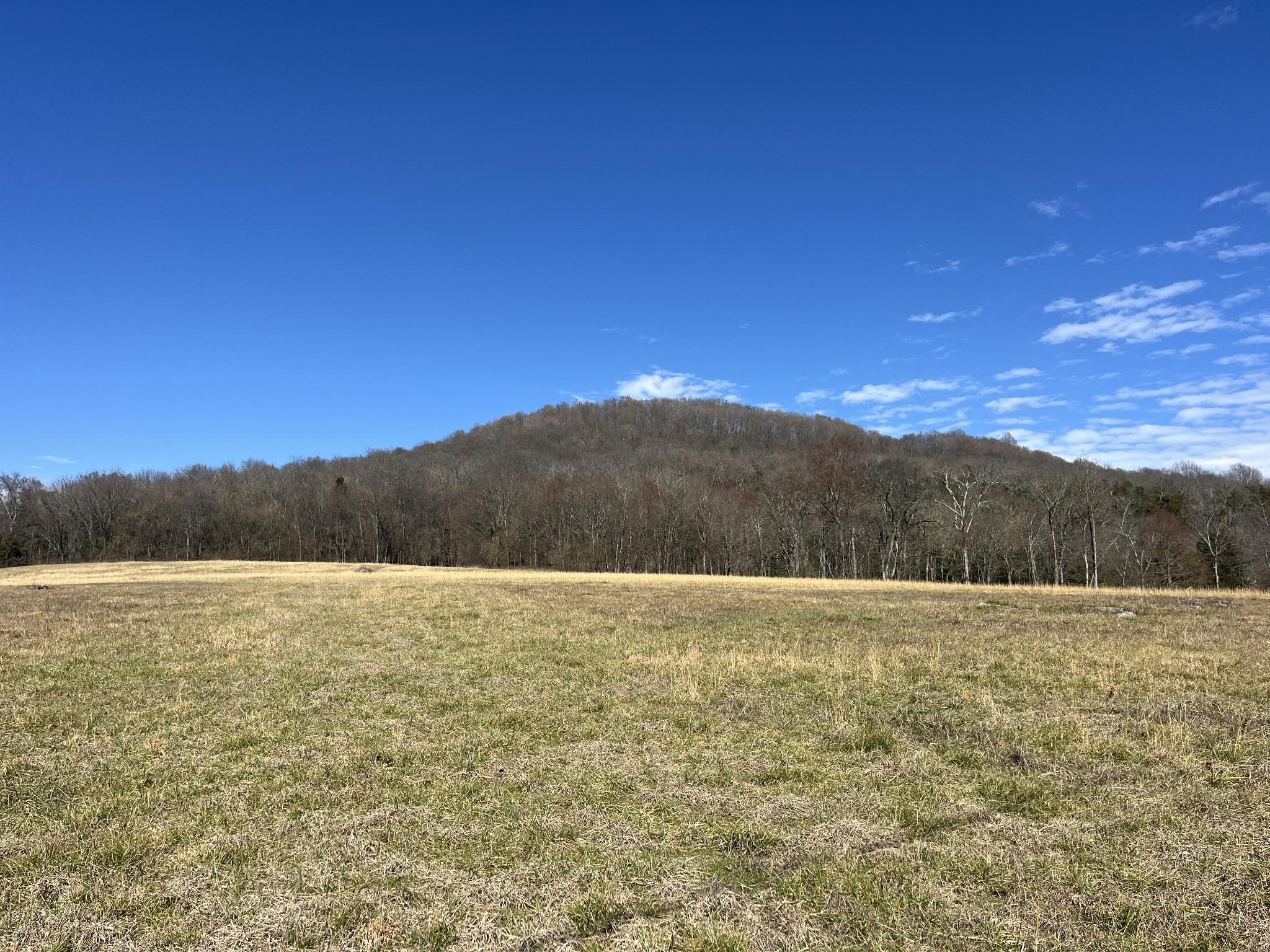 0 Northcutt Road Milton, TN 37118 - Photo 4 of 17 a view of an ocean and a mountain view