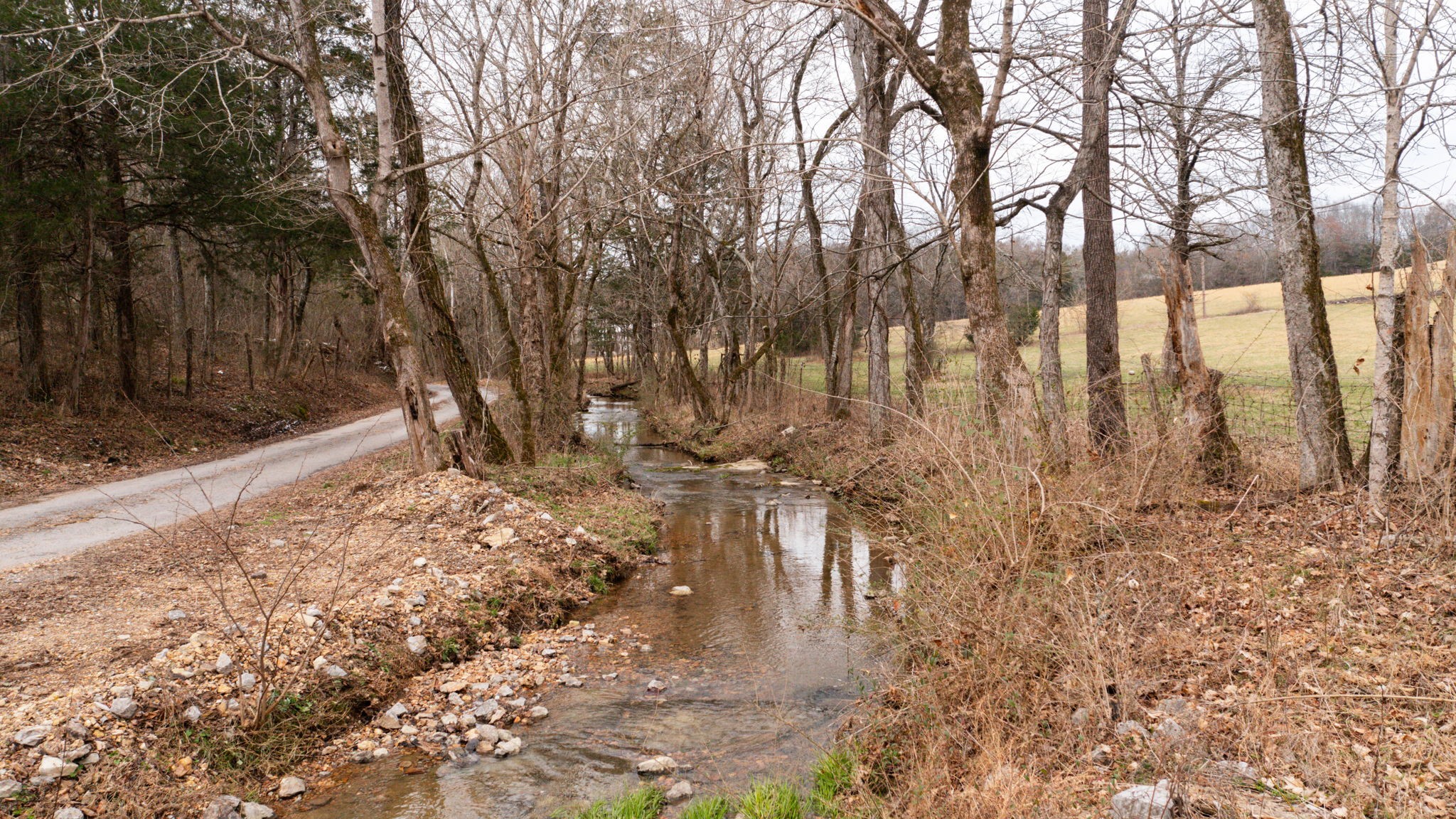 0 Northcutt Road Milton, TN 37118 - Photo 8 of 17 a view of a yard with trees