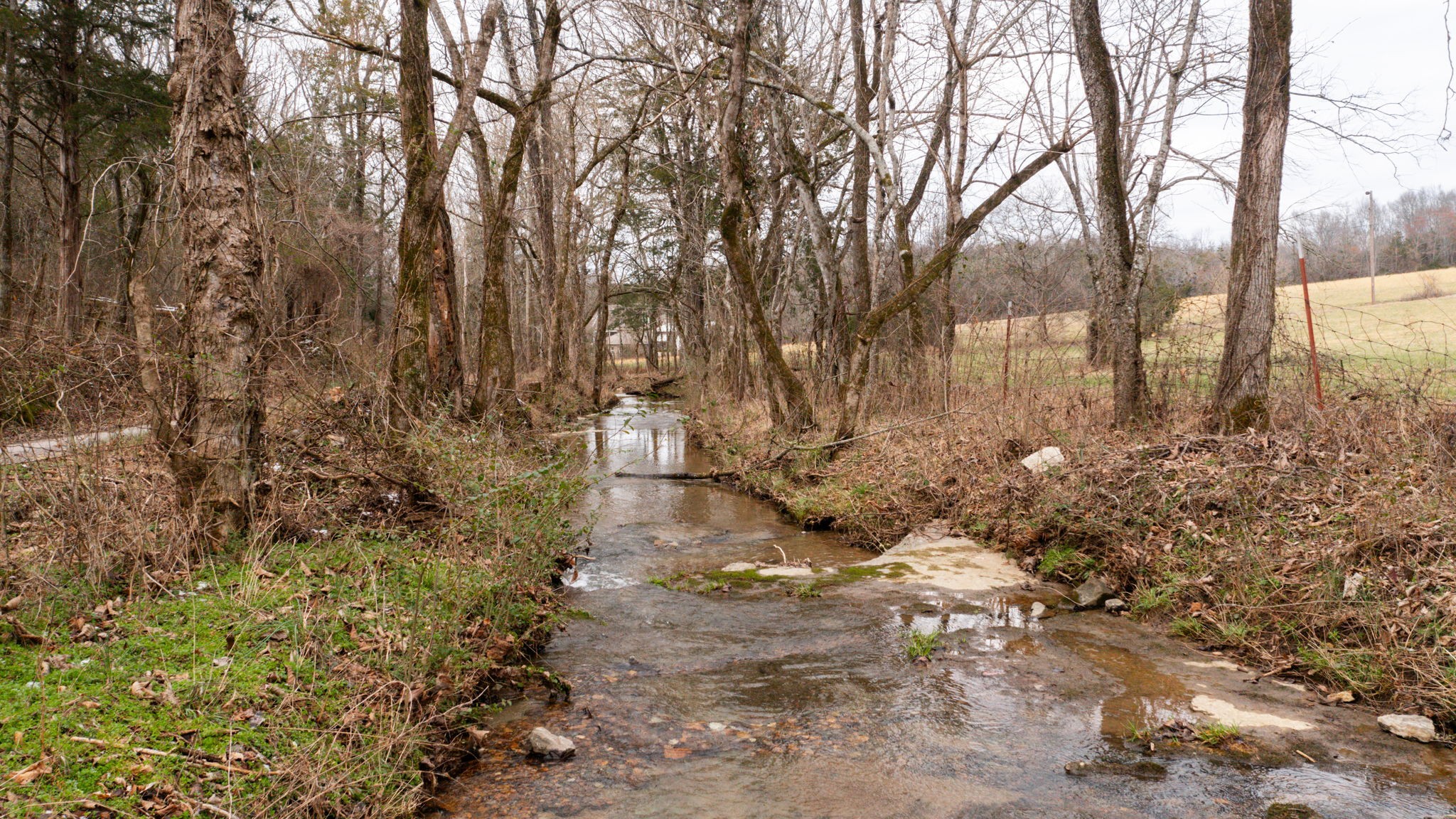 0 Northcutt Road Milton, TN 37118 - Photo 9 of 17 a view of yard