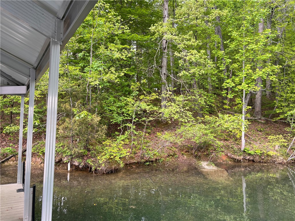 0 Turtle Cv Road, Unit LOT 1 Seneca, SC 29672 - Photo 11 of 12 Gallery Image 11