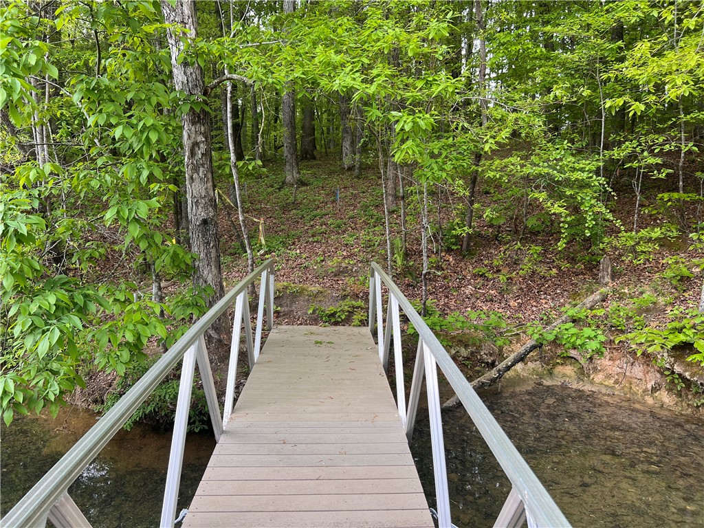 0 Turtle Cv Road, Unit LOT 1 Seneca, SC 29672 - Photo 3 of 12 Gallery Image 3