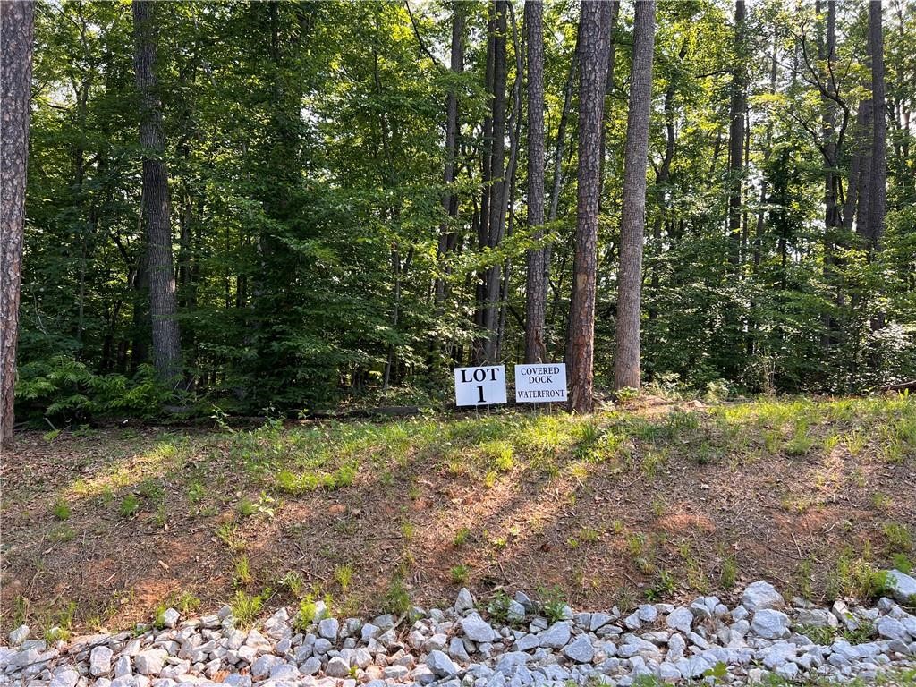 0 Turtle Cv Road, Unit LOT 1 Seneca, SC 29672 - Photo 5 of 12 Gallery Image 5