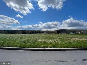 a view of a back yard
