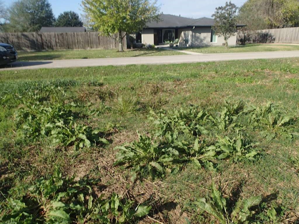 0 Wallis Street Fulshear, TX 77441 - Photo 3 of 3 a backyard of a house with a yard and outdoor seating