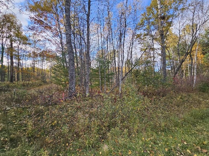 20 Acres Deerhaven Road Alger, MI 48610 - Photo 6 of 6