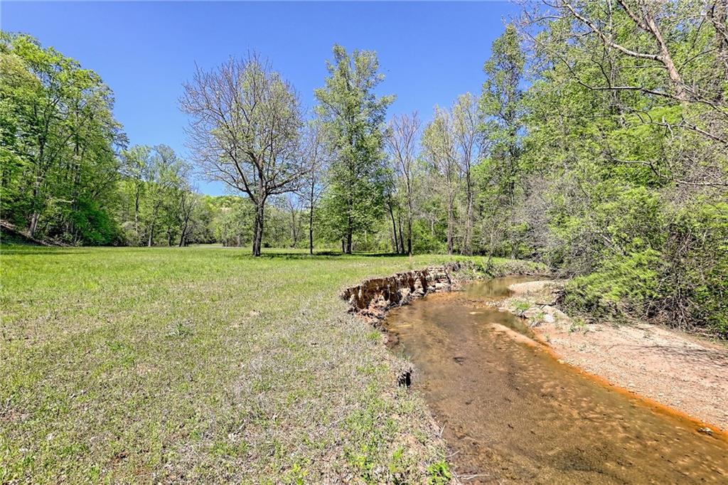 1103 Apple Pie Ridge Road Alto, GA 30510 - Photo 116 of 139