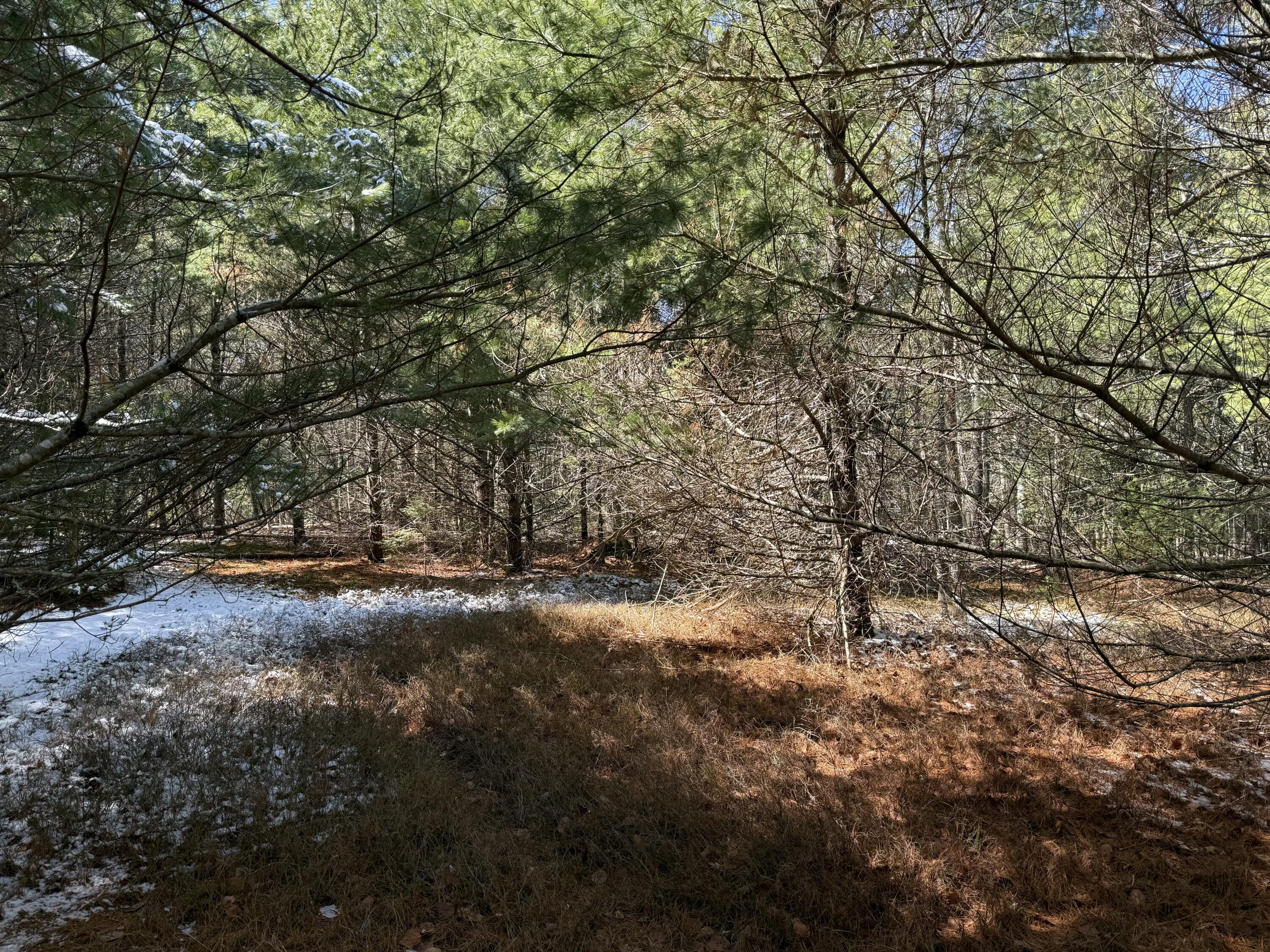 0 Rt 176 East Blue Hill Road Blue Hill, ME 04614 - Photo 5 of 12 tempImagekPp5Uy