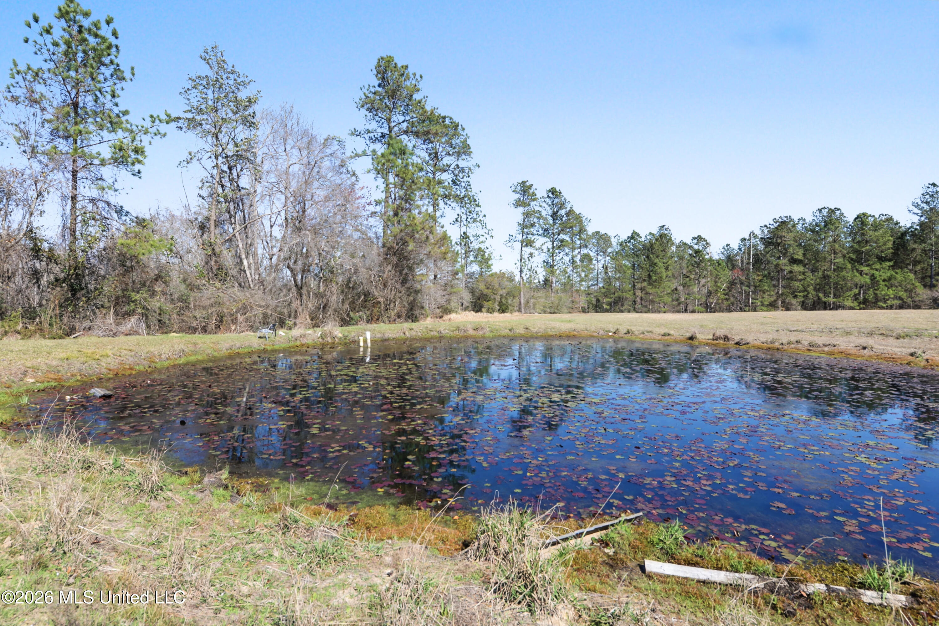 7138 Brushy Creek Road Lucedale, MS 39452 - Photo 21 of 22 IMG_0656