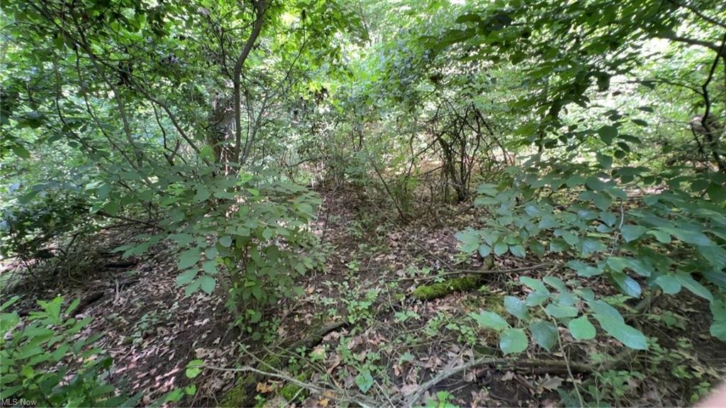 0 Point Lookout Road Stockport, OH 43787 - Photo 10 of 24 GetMedia (15)
