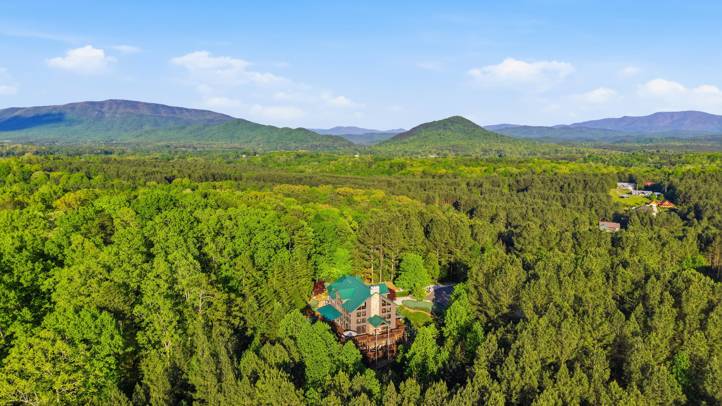 169 Cherokee Ridge Drive Ocoee, TN 37361 - Photo 7 of 89 90_169 cherokee ridge dr-78