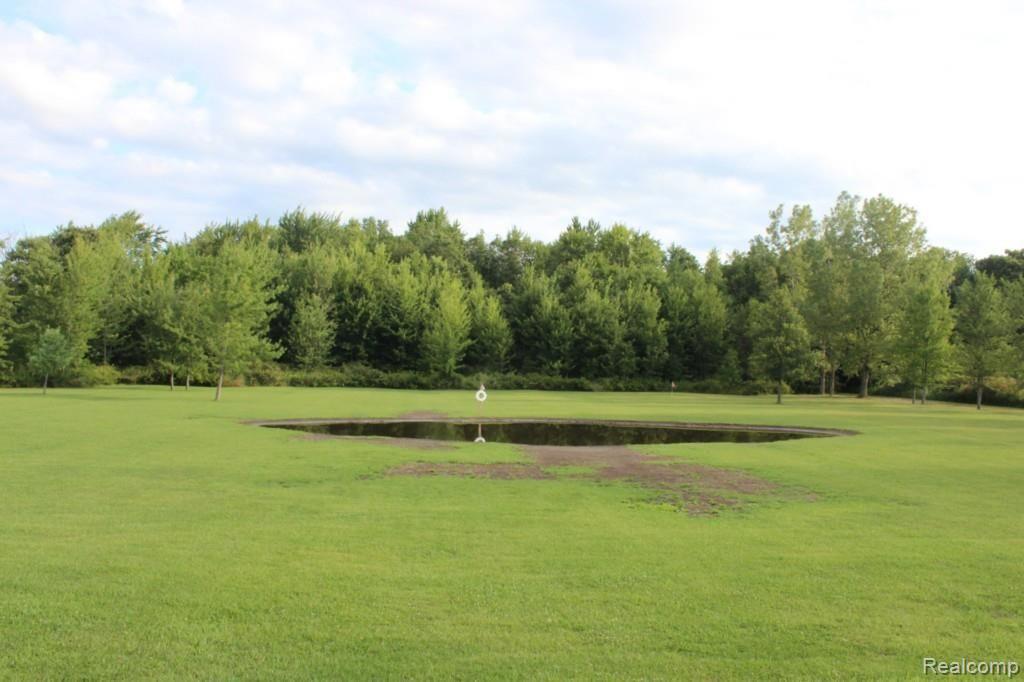 16292 Lewis Road Capac, MI 48014 - Photo 26 of 33 IMG_5041.jpg