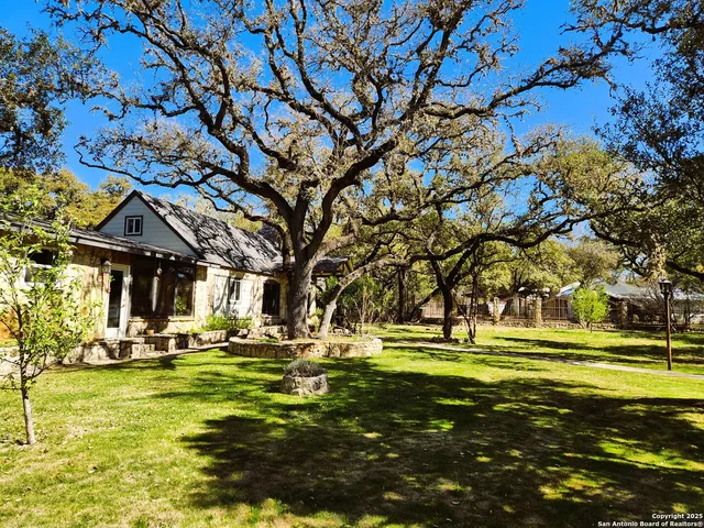 a garden view with a fountain