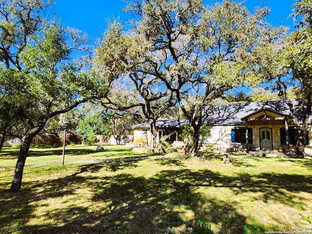 a view of a yard with a tree