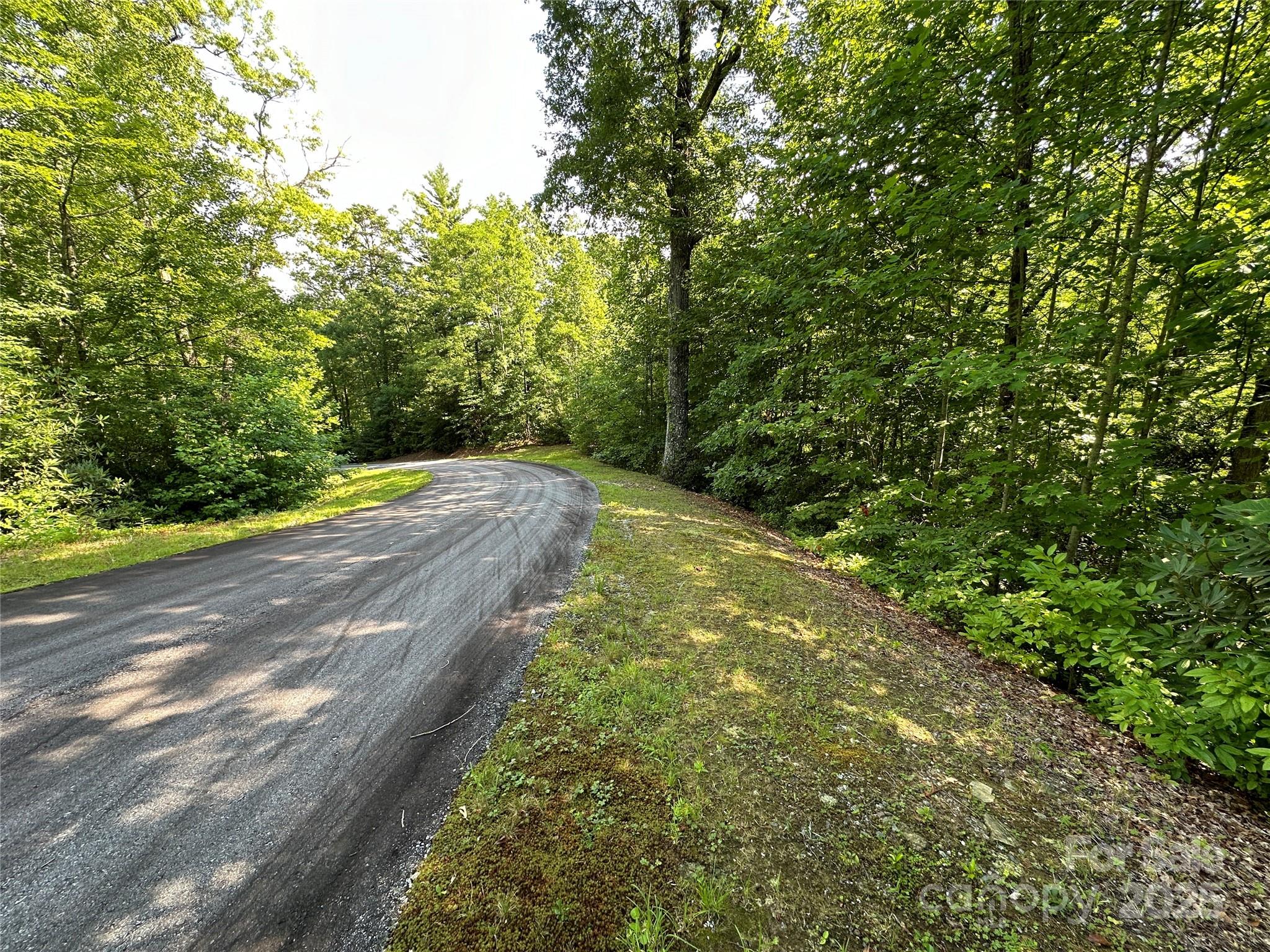 67 Peppervine Circle Rosman, NC 28772 - Photo 13 of 48 a view of a yard with an trees