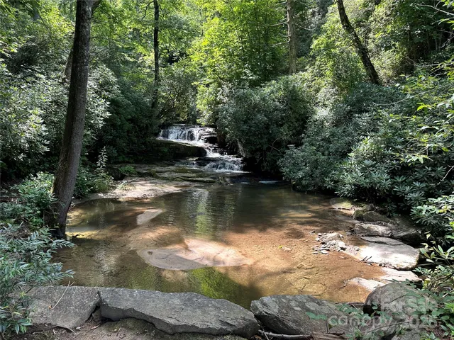 a view of lake with green space