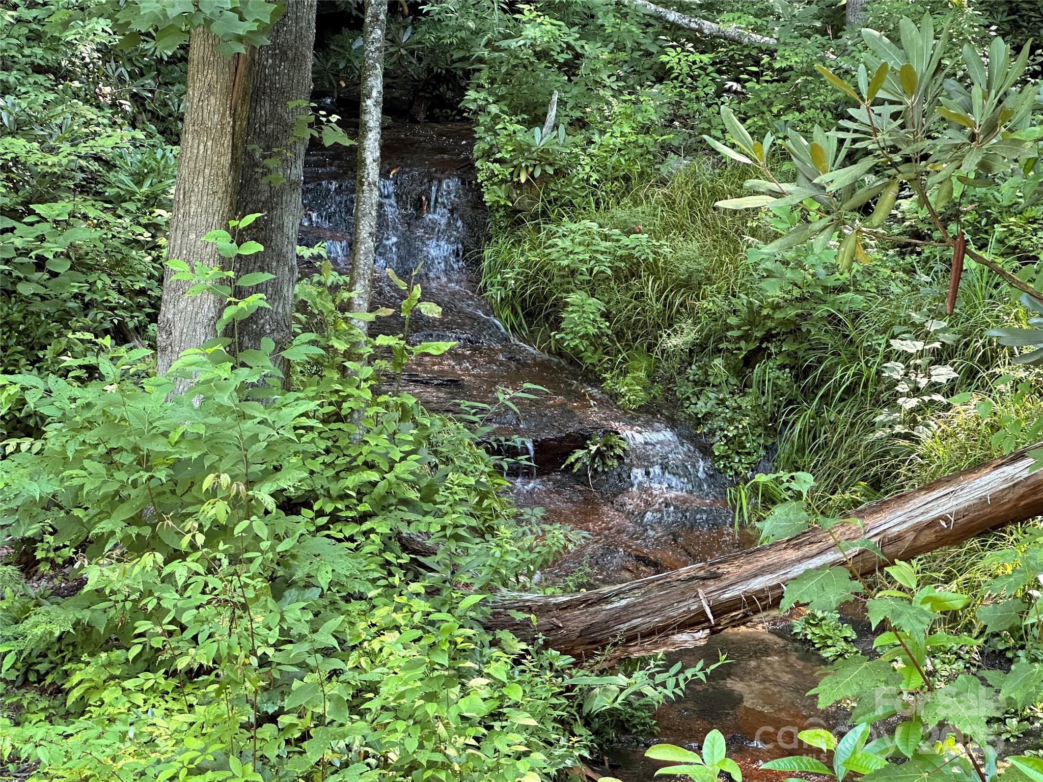 67 Peppervine Circle Rosman, NC 28772 - Photo 19 of 48 a backyard of a house with lots of green space and garden