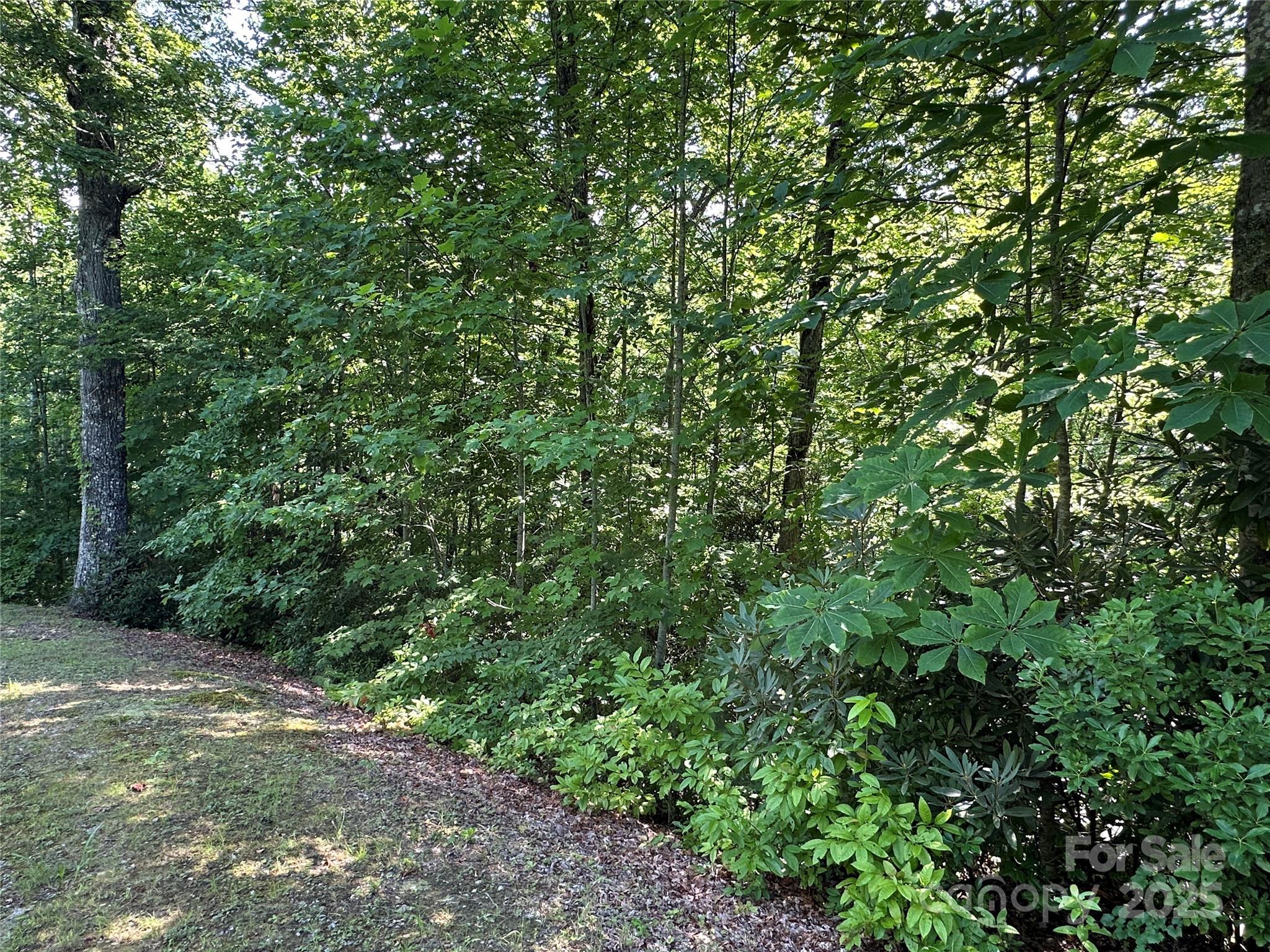 67 Peppervine Circle Rosman, NC 28772 - Photo 21 of 48 a view of a large yard with lots of green space