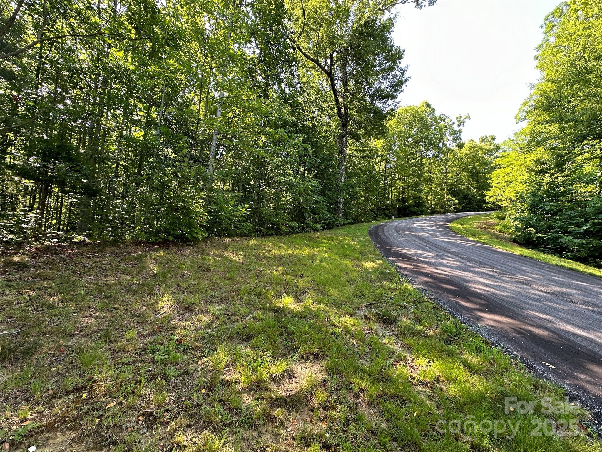 67 Peppervine Circle Rosman, NC 28772 - Photo 22 of 48 a backyard of a house with lots of green space