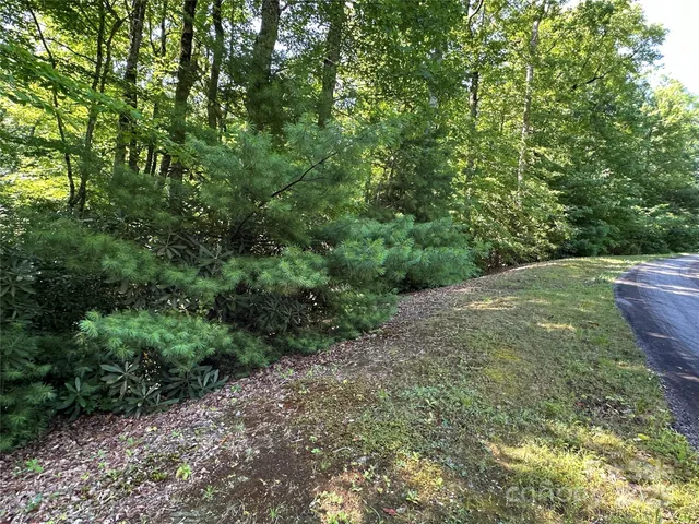 a view of a pathway with a yard