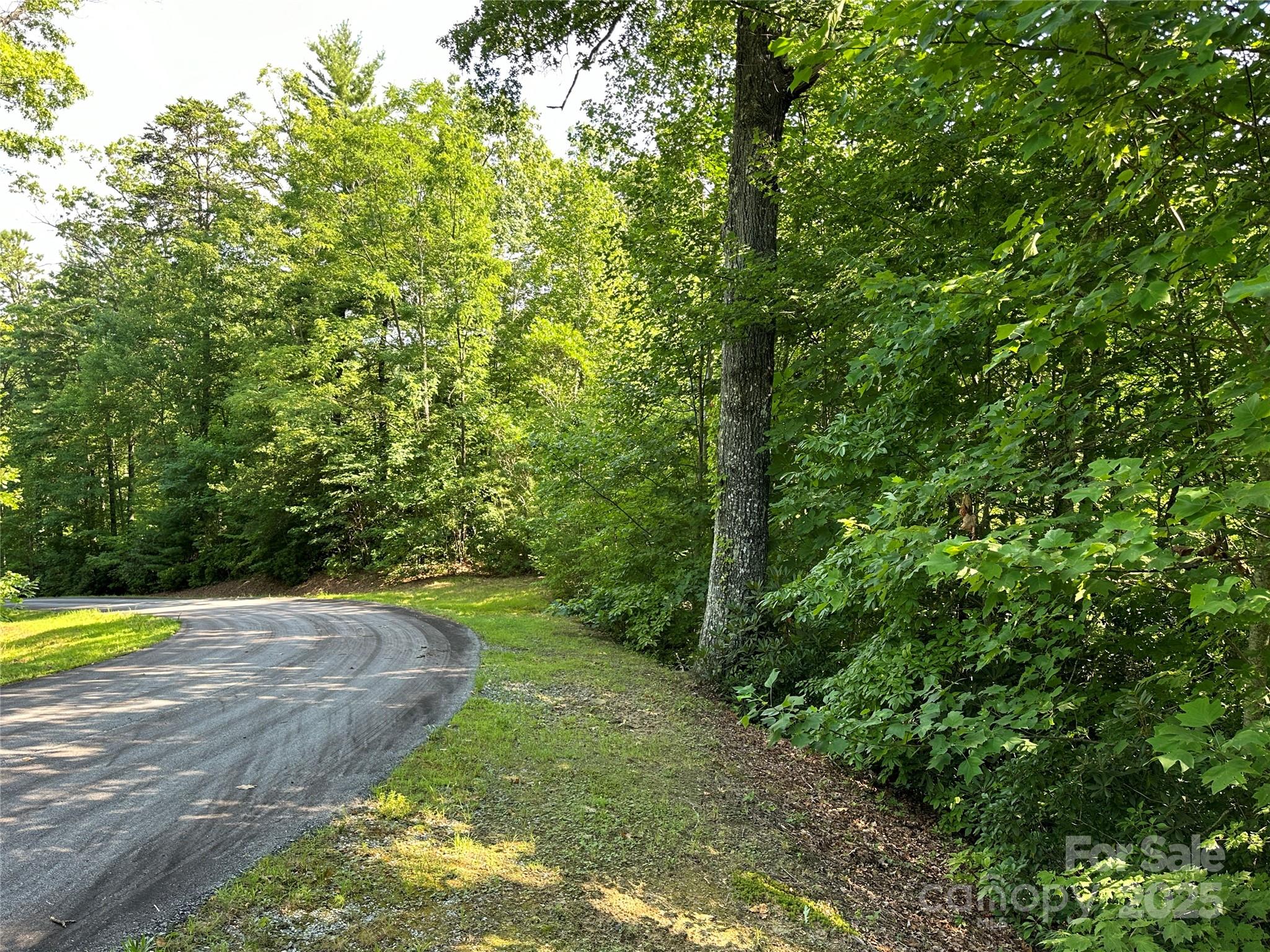 67 Peppervine Circle Rosman, NC 28772 - Photo 27 of 48 a view of a pathway with a yard
