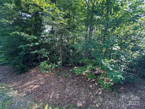a big yard with lots of green space and deers