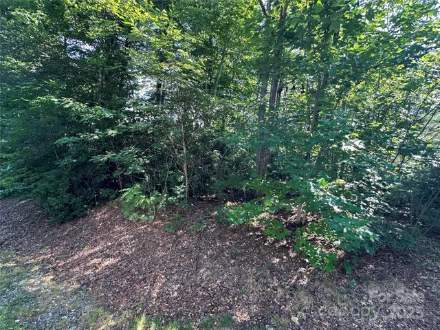 a big yard with lots of green space and deers