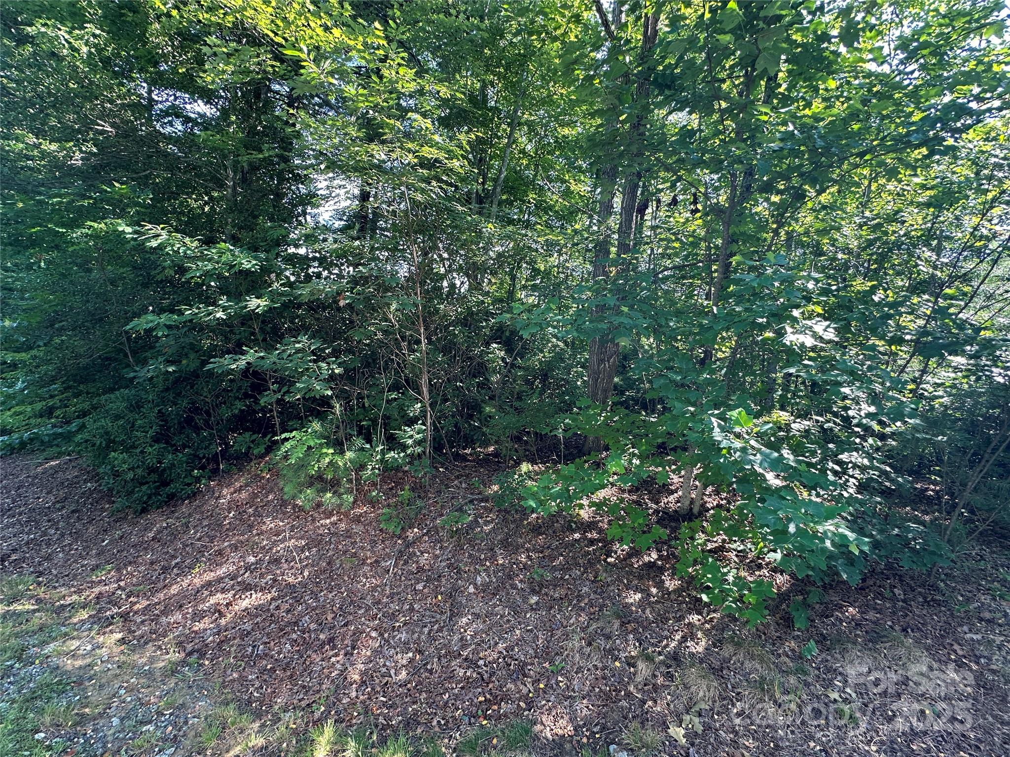 67 Peppervine Circle Rosman, NC 28772 - Photo 29 of 48 a view of a large yard with lots of bushes