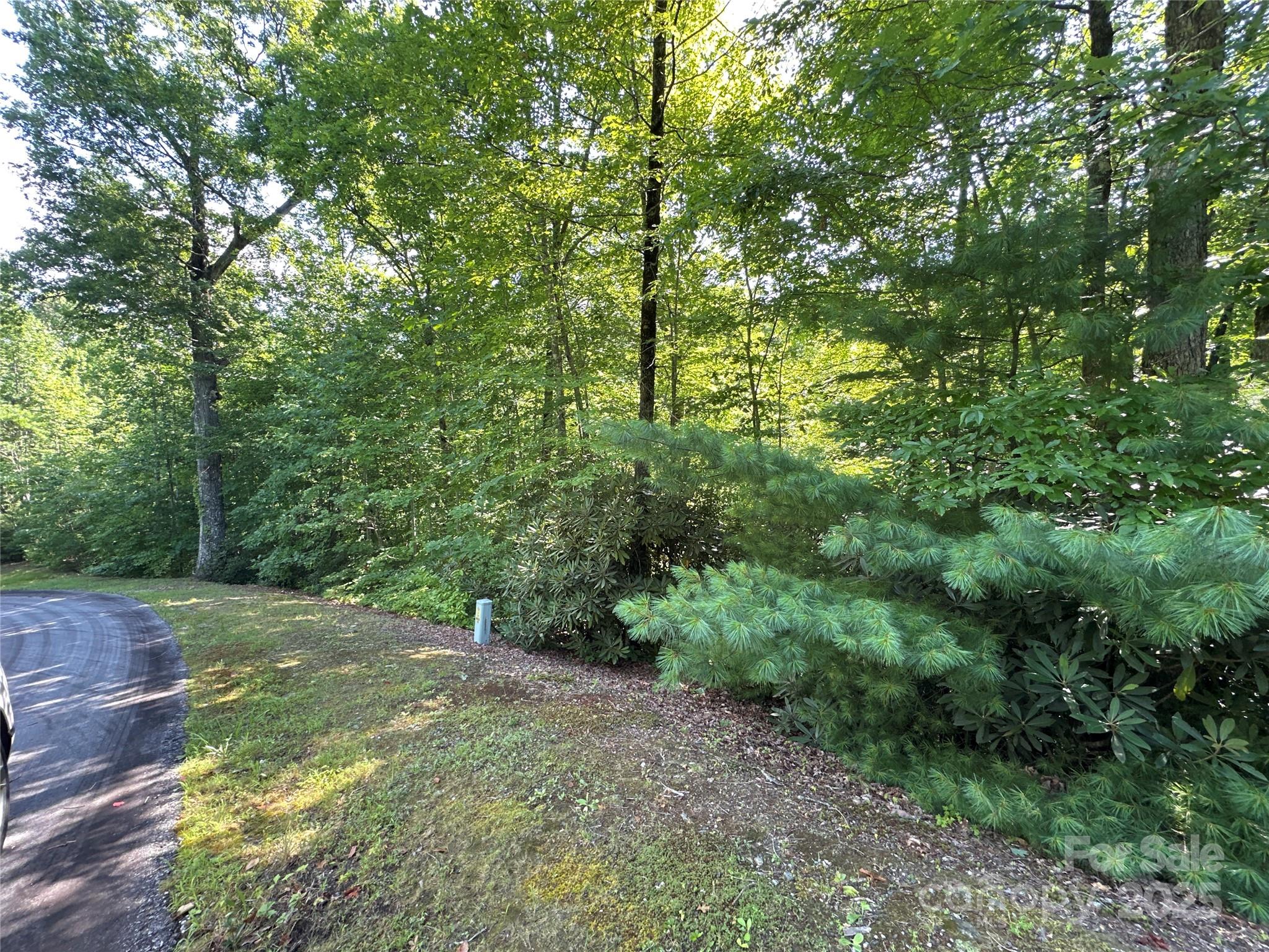 67 Peppervine Circle Rosman, NC 28772 - Photo 3 of 48 a backyard of a house with lots of green space