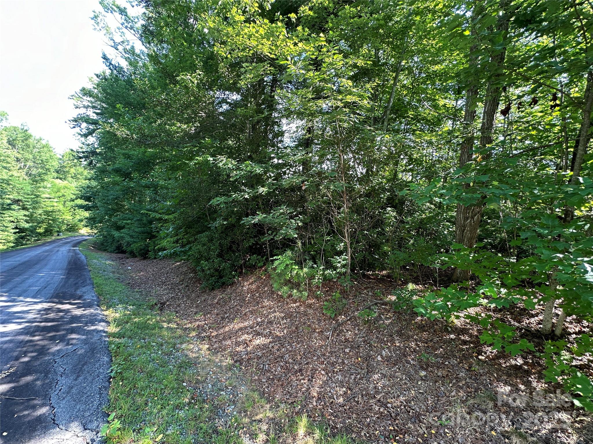 67 Peppervine Circle Rosman, NC 28772 - Photo 31 of 48 a view of a forest that has a tree