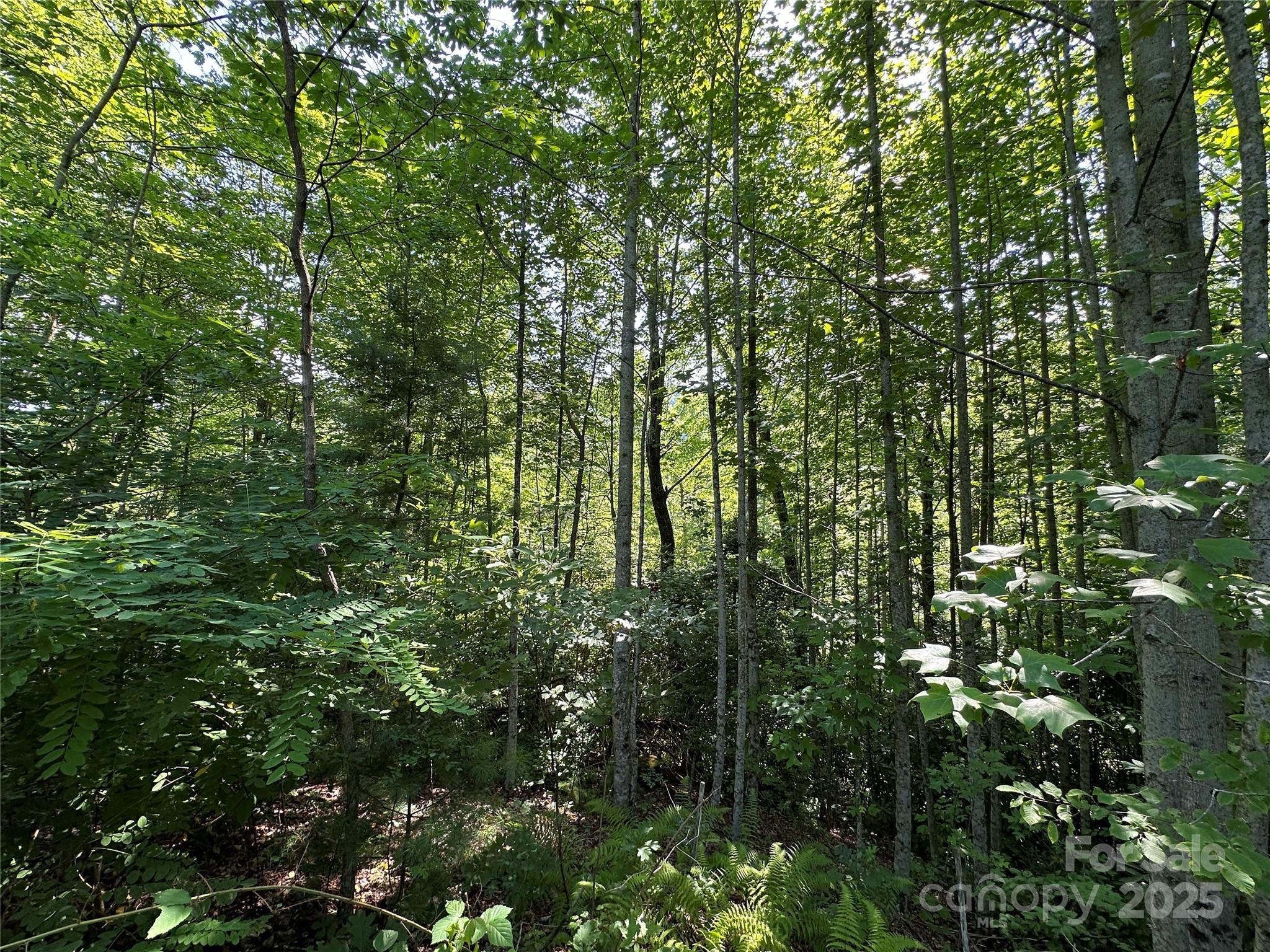 67 Peppervine Circle Rosman, NC 28772 - Photo 35 of 48