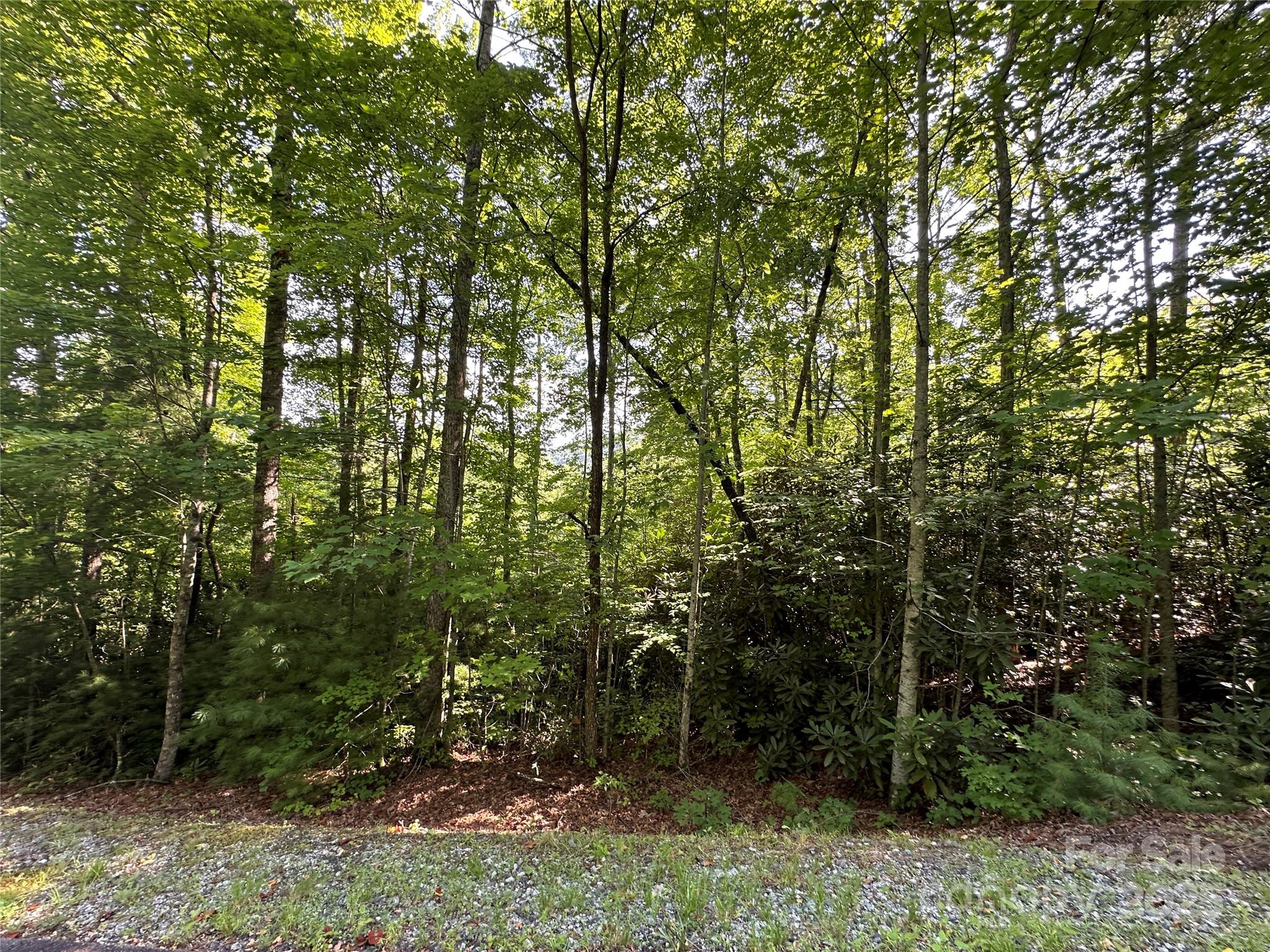 67 Peppervine Circle Rosman, NC 28772 - Photo 37 of 48 a view of a forest with trees in the background