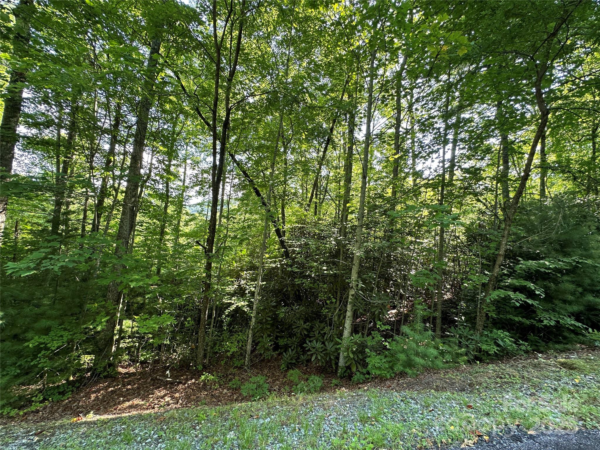 67 Peppervine Circle Rosman, NC 28772 - Photo 39 of 48 a view of a forest