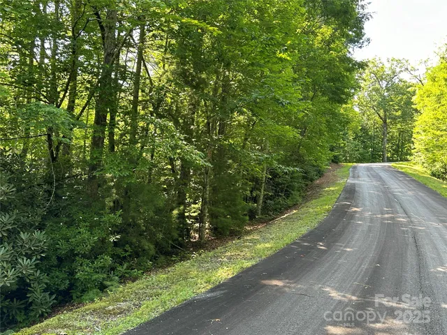 a view of a forest from a window