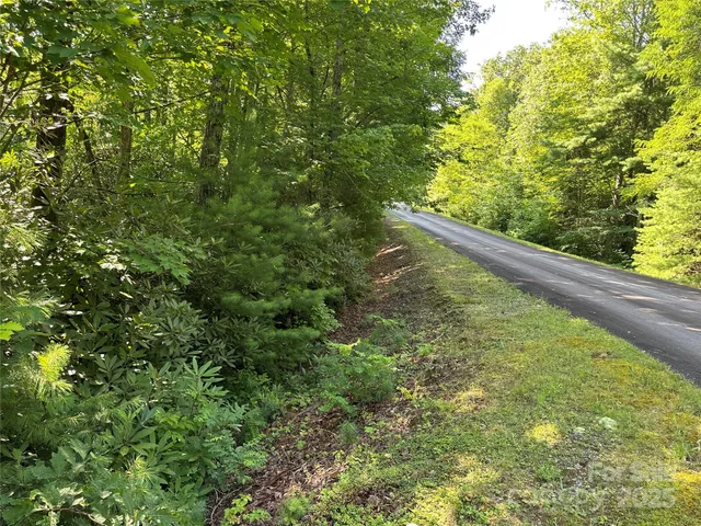 a view of a trees with yard