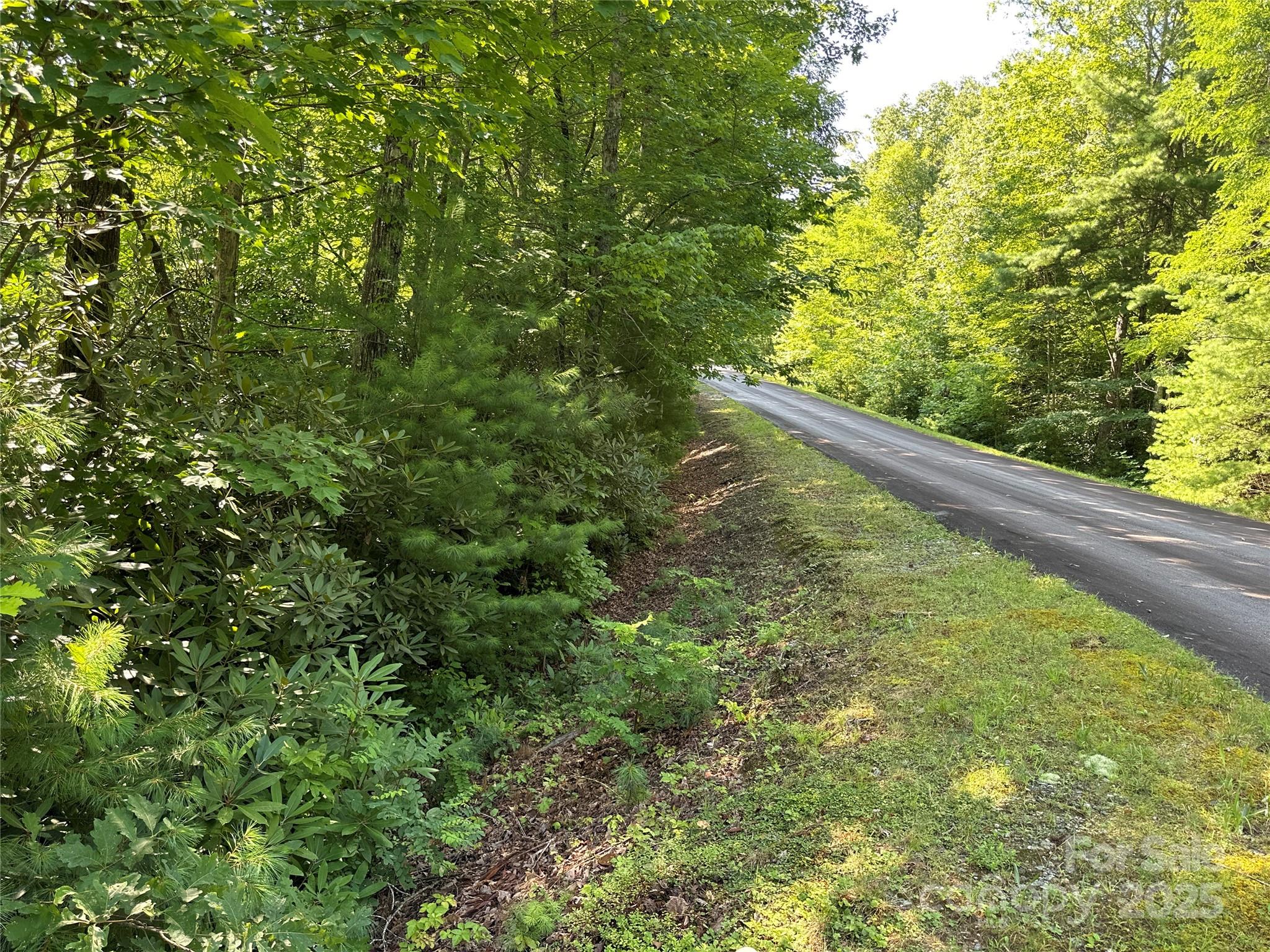 67 Peppervine Circle Rosman, NC 28772 - Photo 43 of 48 a view of a forest from a window
