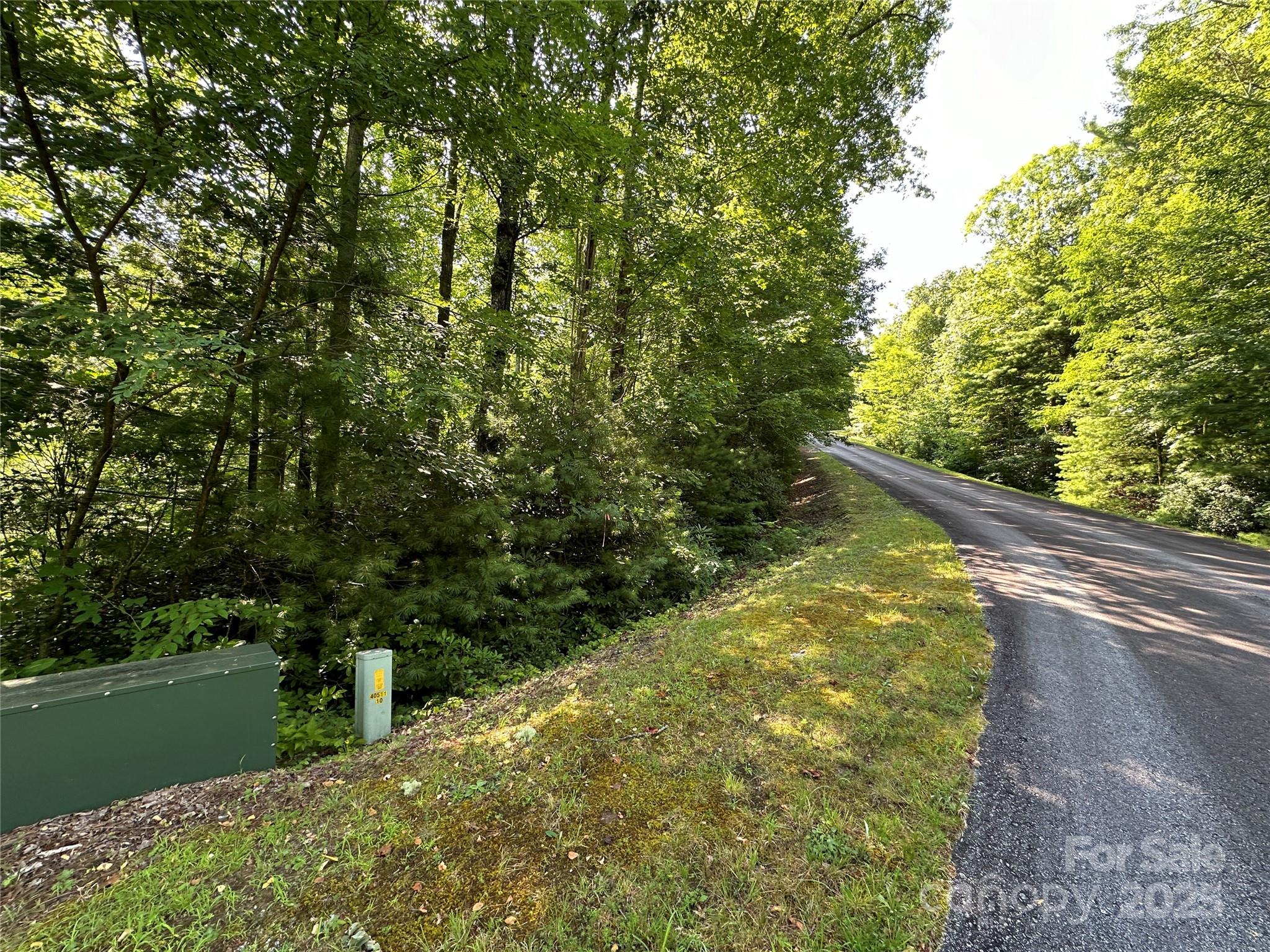 67 Peppervine Circle Rosman, NC 28772 - Photo 46 of 48 a view of a yard