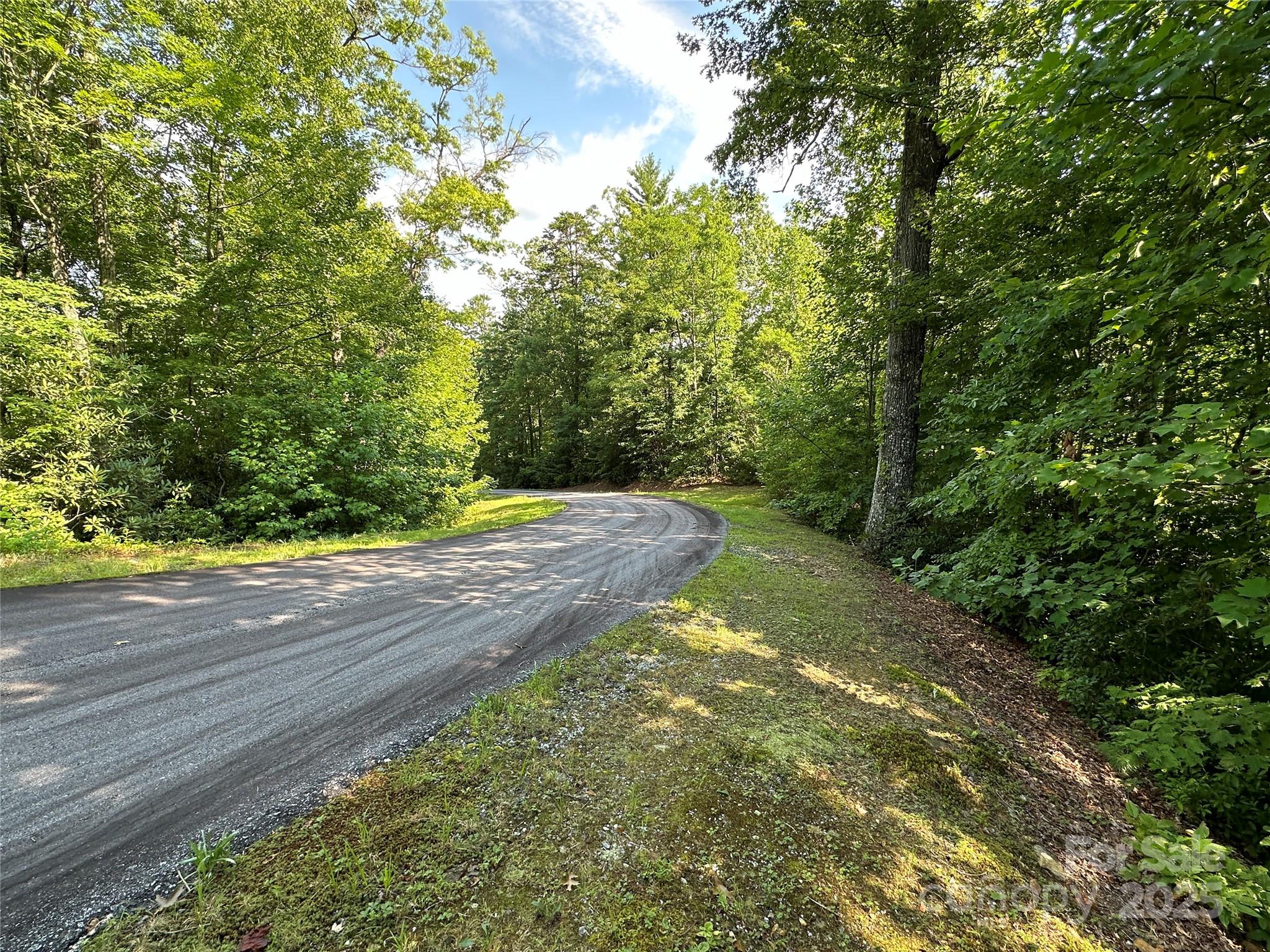 67 Peppervine Circle Rosman, NC 28772 - Photo 47 of 48 a view of a yard with plants and large trees