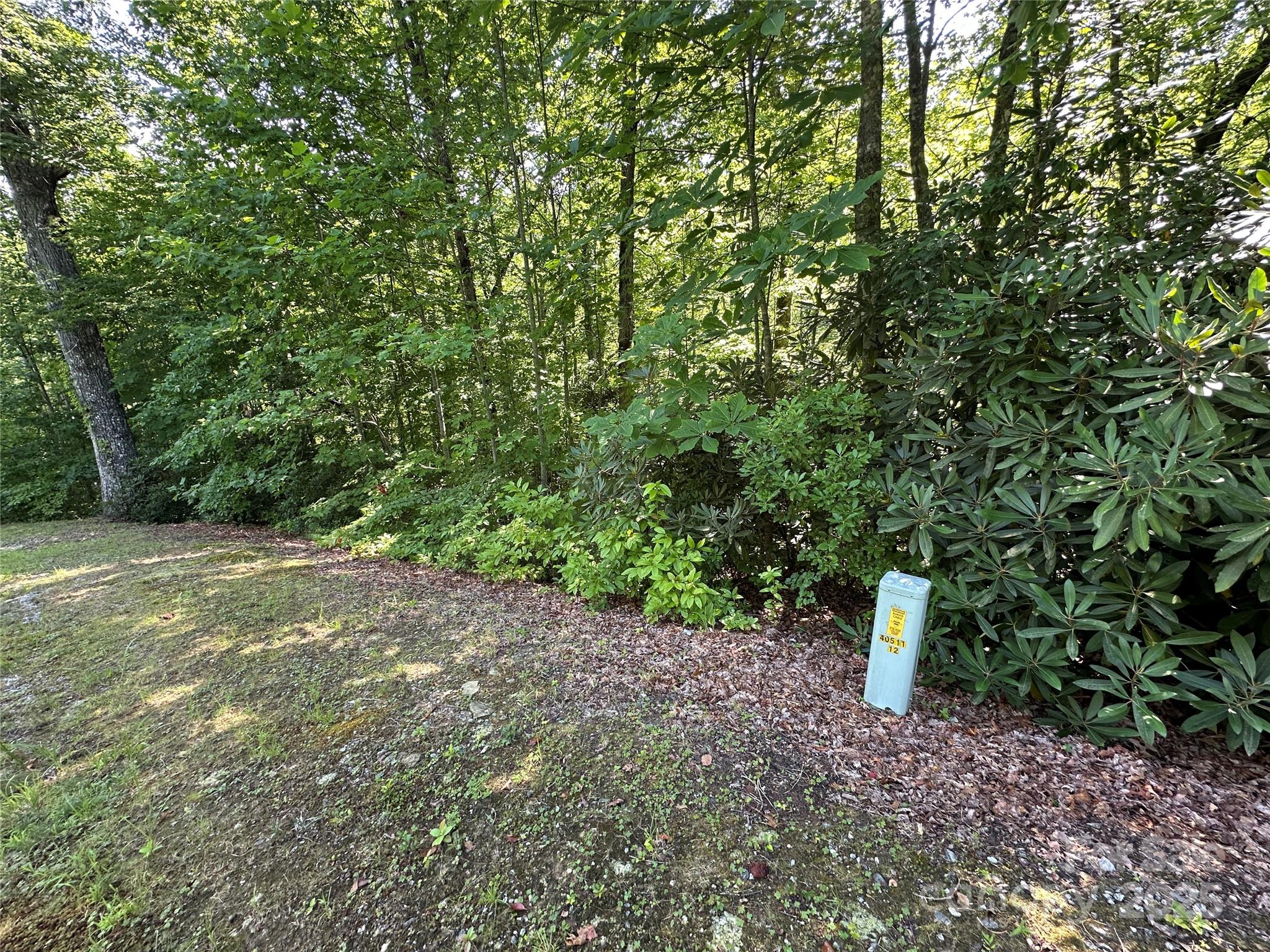 67 Peppervine Circle Rosman, NC 28772 - Photo 48 of 48 a view of a field with plants and trees