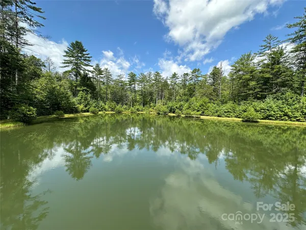 a view of lake with green space