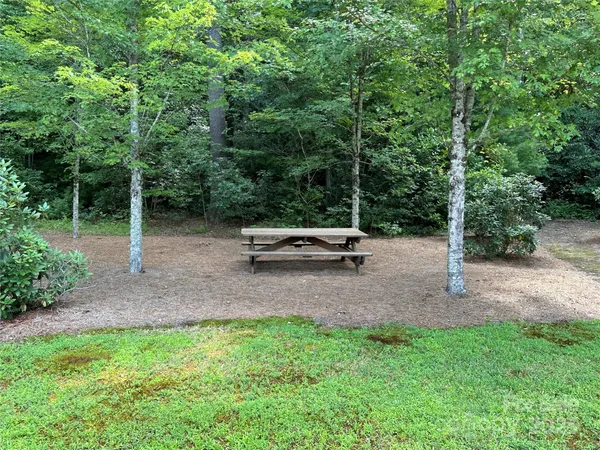 a view of a park with large trees