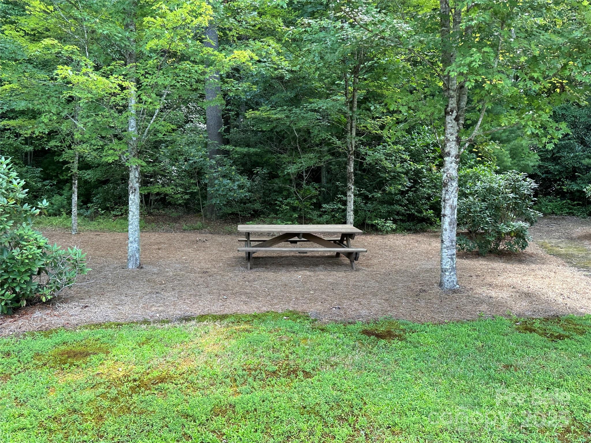67 Peppervine Circle Rosman, NC 28772 - Photo 10 of 48 a view of a park with large trees