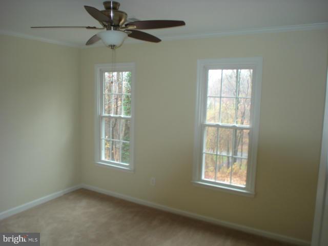 11787 Thomas Spring Road Monrovia, MD 21770 - Photo 22 of 30 Bedroom